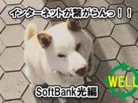 ソフトバンク光、インターネットに繋がらない原因は？