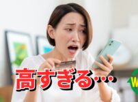 Revolutの手数料が高すぎると感じる人のイメージ
