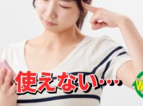 Revolutが海外で使えないと悩む人のイメージ