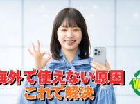 Revolutが海外で使えない原因と解決方法を解説したサムネイル