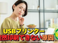 USBプリンターが印刷できない原因とWindows設定での解決方法